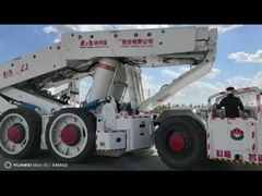 Langwändischer Schlagzeugträger